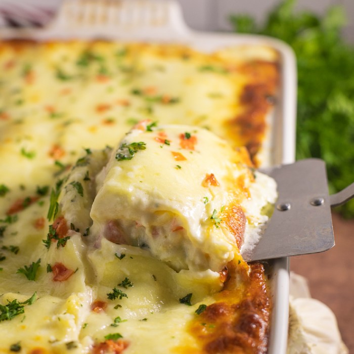 Chicken lasagna recipes with alfredo sauce