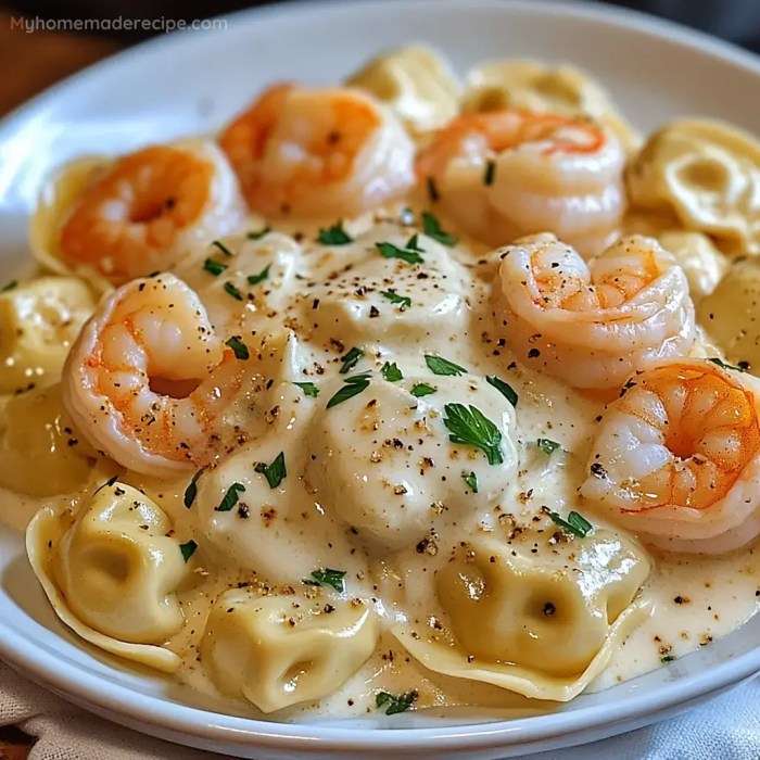 Best shrimp alfredo sauce recipe