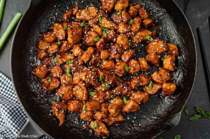 Recipe chicken hoisin sauce