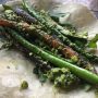 Red Pepper Sauce Arugula Pistachio Pesto Recipe